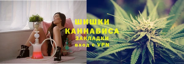 мдпв Бородино