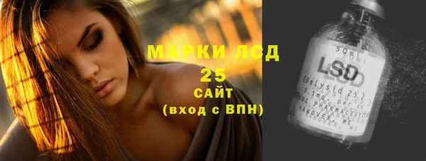 мдпв Бородино