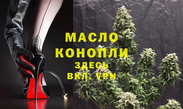 мдпв Бородино