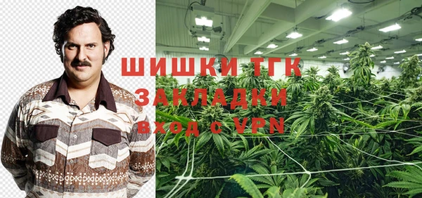 мдпв Бородино