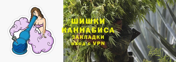 мдпв Бородино